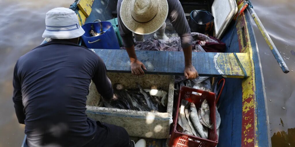 License is not valid, please check your API Key!