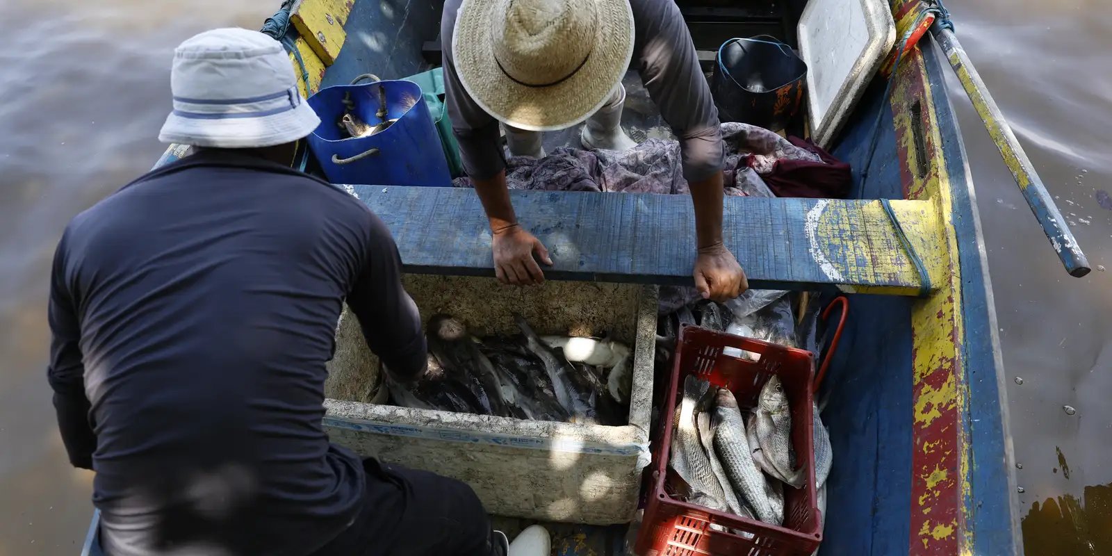 License is not valid, please check your API Key!