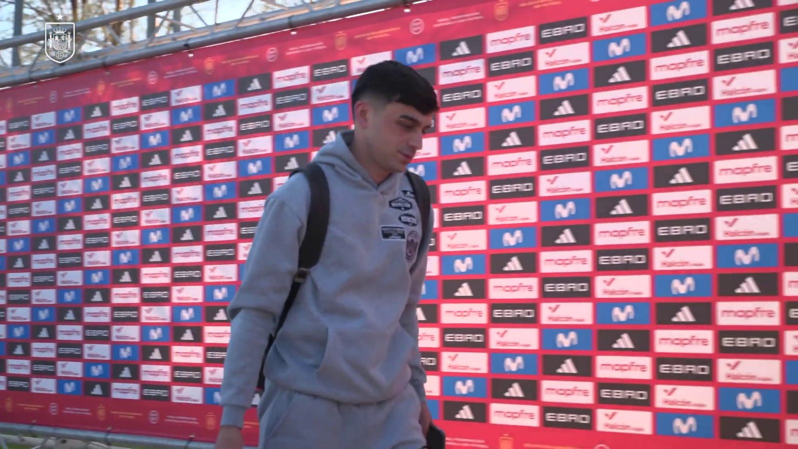 License is not valid, please check your API Key!