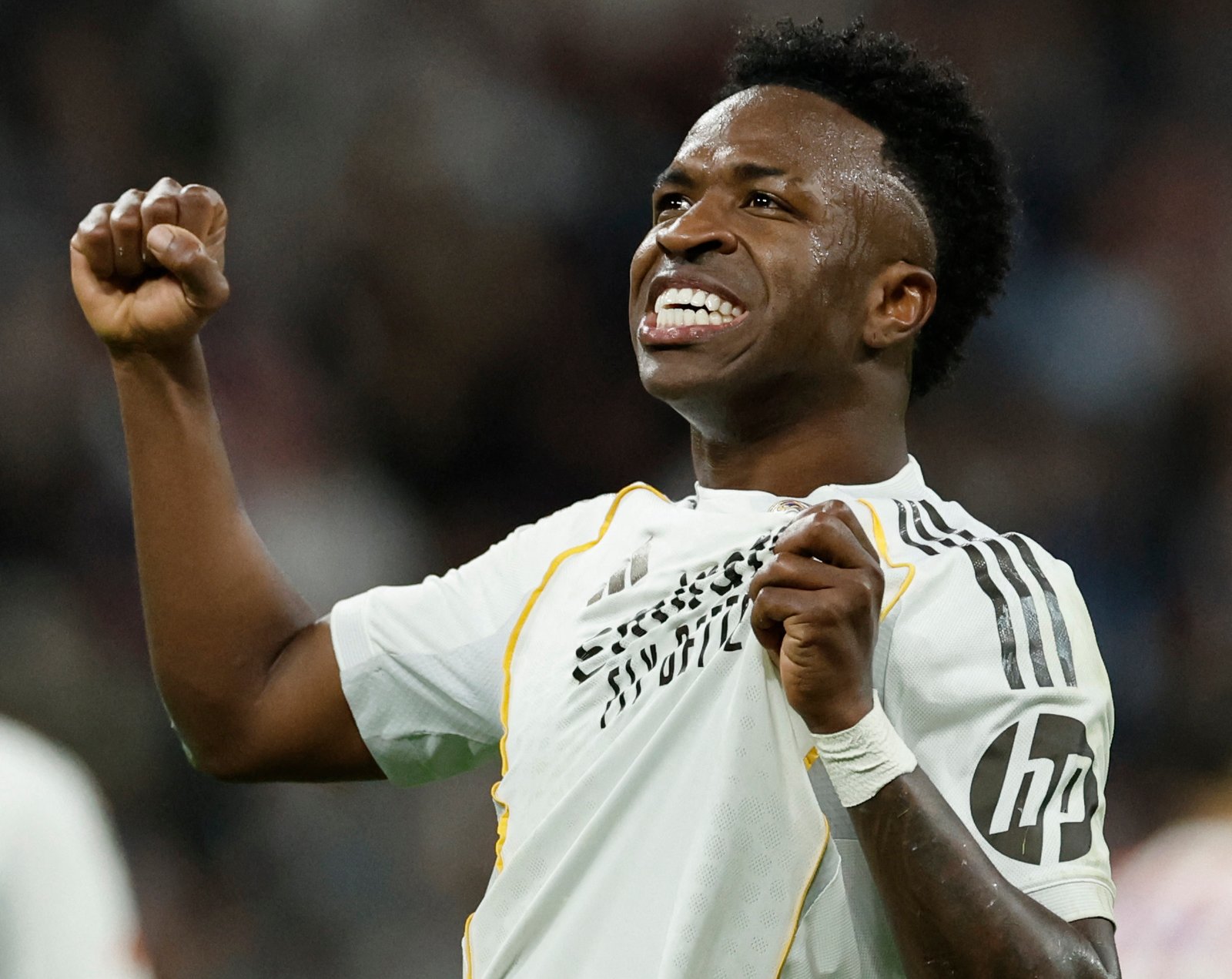 License is not valid, please check your API Key!