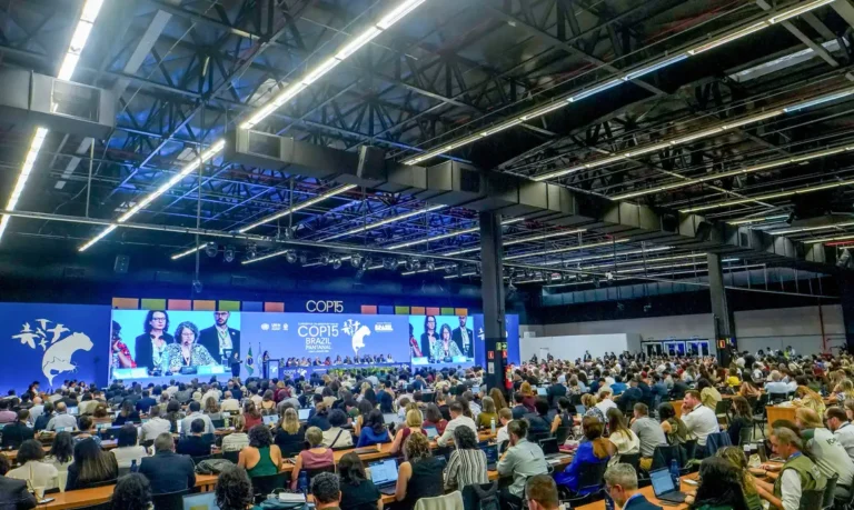 COP15