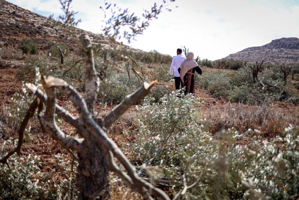 Israel destrói e se apropria da cultura alimentar palestina