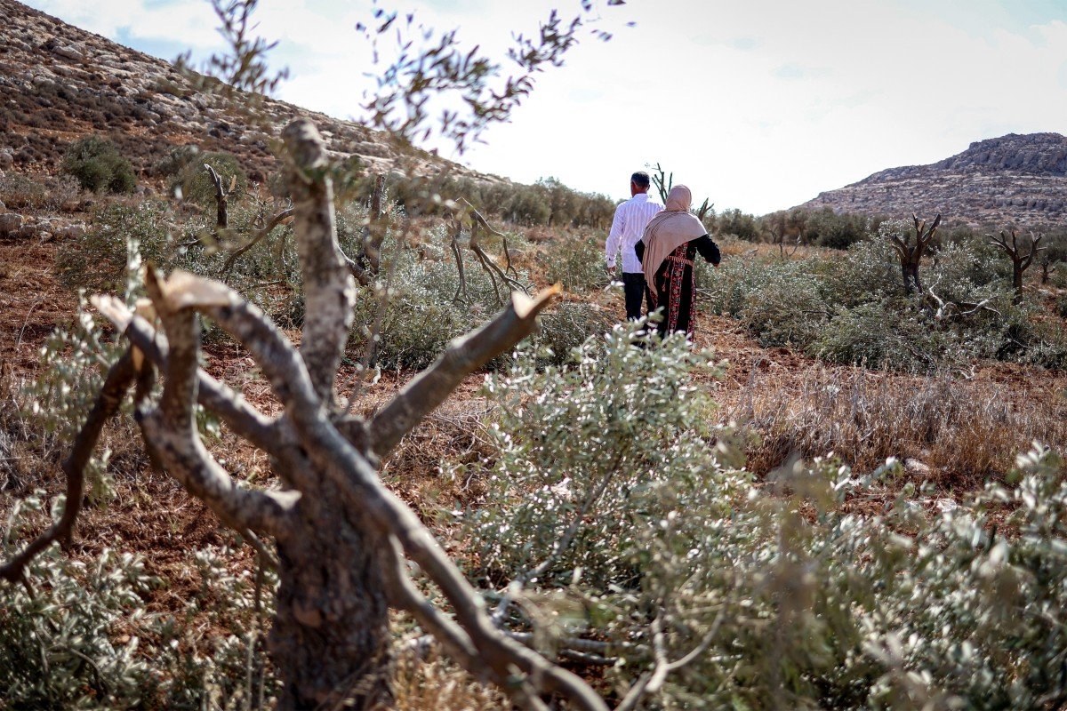 Israel destrói e se apropria da cultura alimentar palestina