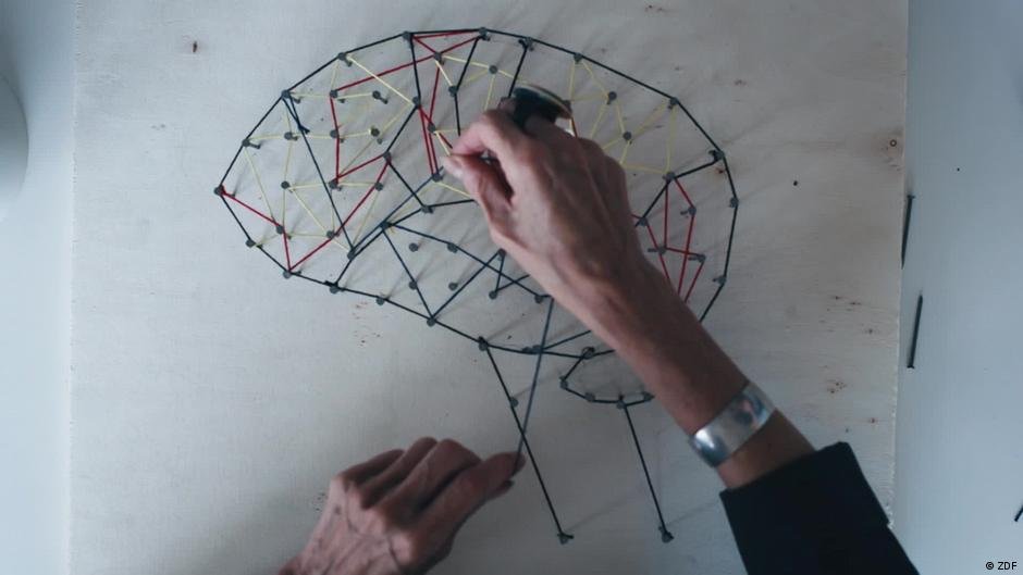 Explorando os Segredos da Memória: Novas Pesquisas Revelam Como Armazenamos e Recuperamos Informações