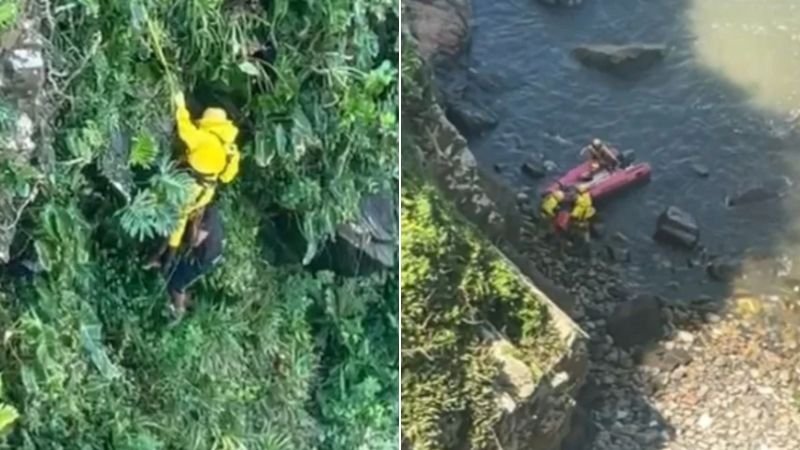 Fuga Dramática: Homem Salta de Precipício em Tentativa de Escapar de Enxame de Abelhas; Assista ao Vídeo Impactante
