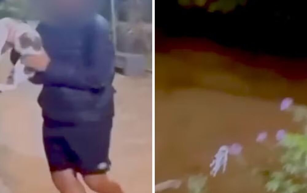 adolescente é investigado por jogar gato em rio no interior de SP