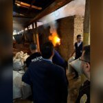 Meia tonelada de maconha é destruída em Turmalina, MG