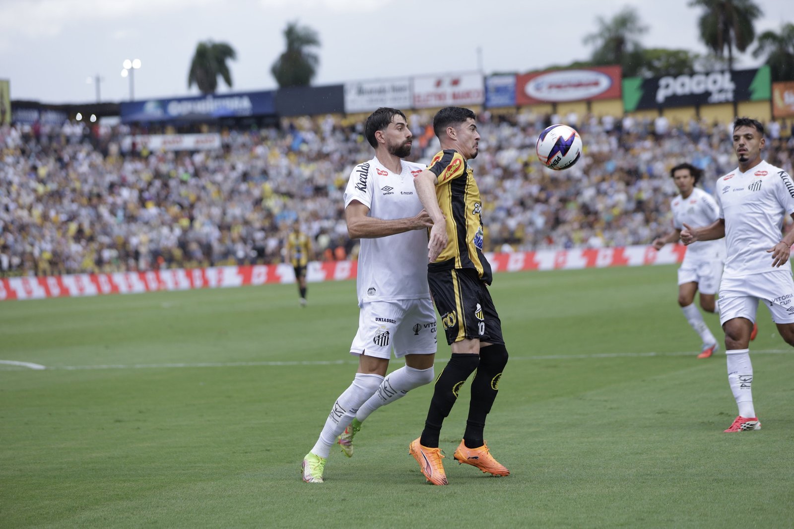 Paulistão 2023: Novorizontino enfrenta desafio decisivo contra Palmeiras e o enigma de Rômulo