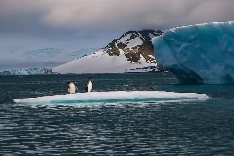 Pesquisa Revela Aceleração Alarmante do Degelo nas Calotas Polares: Impactos e Desafios para o Brasil