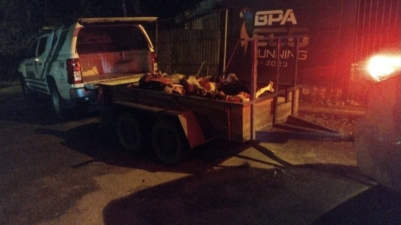 Polícia Fecha Abatedouro Ilegal em Porto Real do Colégio: Ação Reforça Combate ao Comércio Irregular de Carne