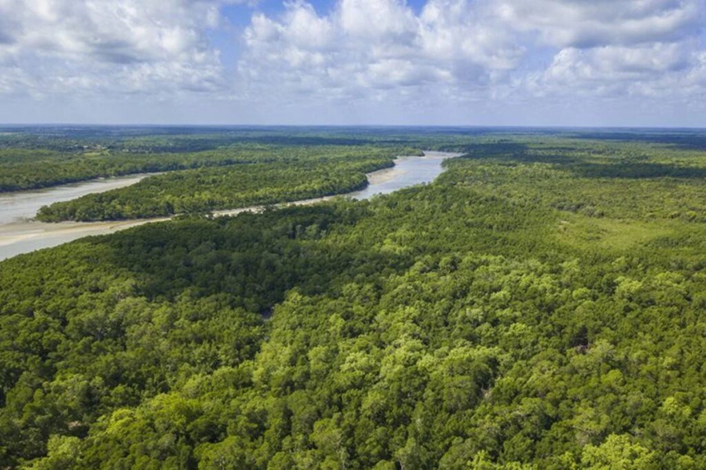 Ícone de sino para notificações