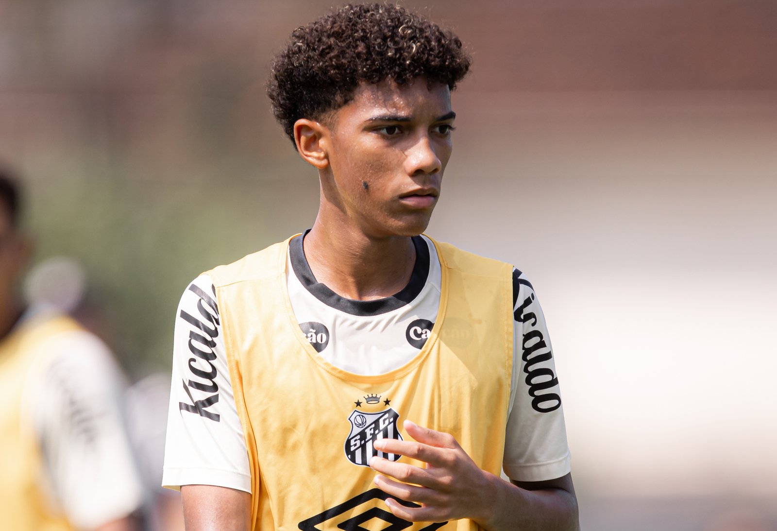 Santos se Destaca como o Líder Absoluto em Aproveitamento de Talentos da Base no Futebol Brasileiro