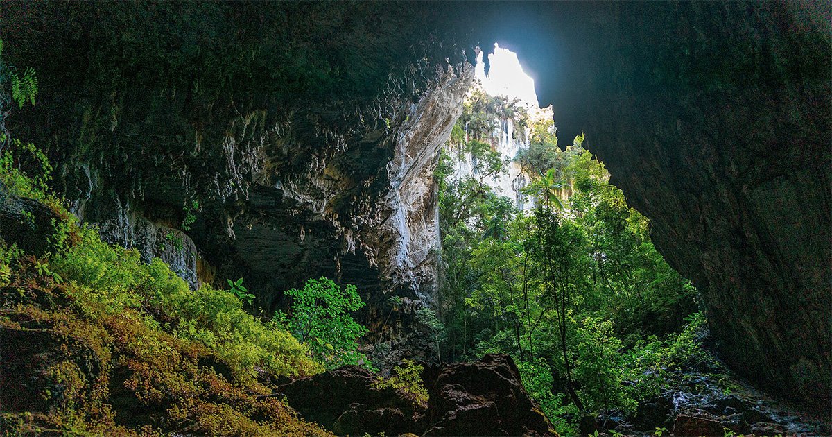 Como a ciência cidadã pode transformar a relação das pessoas com as cavernas – Jornal da USP