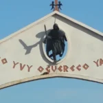 400 Anos das Missões Guarani: Legado e Protagonismo Indígena