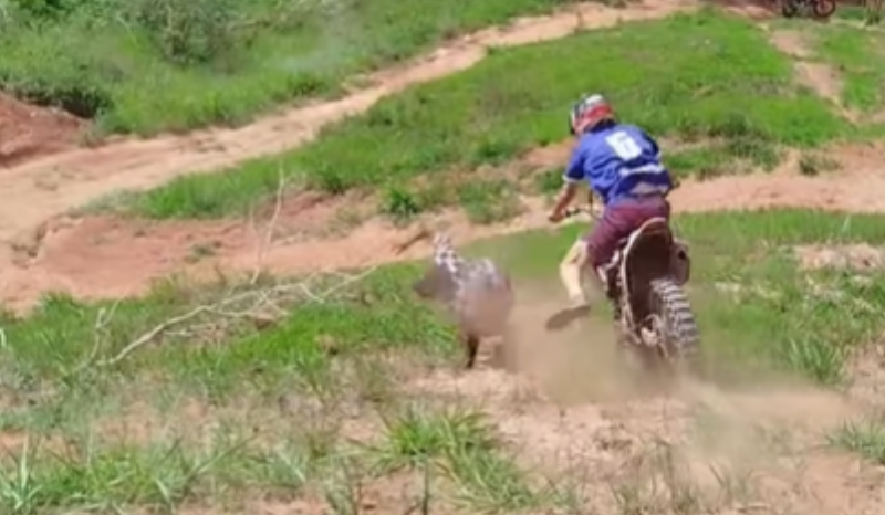 Brincadeira em trilha com amigo termina em tombo de motociclista; VEJA