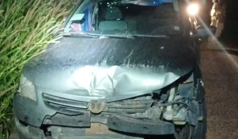 Adolescente pega carro dos pais e viaja para conhecer garota do Roblox