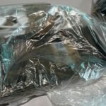 Advogado detido ao tentar entrar celular em presídio de Maceió Advogado detido ao tentar entrar celular em presídio de Maceió