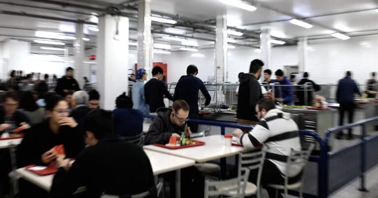 Protocolos garantem alimentação segura e de qualidade em restaurantes universitários administrados pela PRIP – Jornal da USP