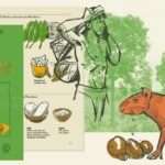 Arqueobotânica: E-book revela laços históricos entre humanos e plantas