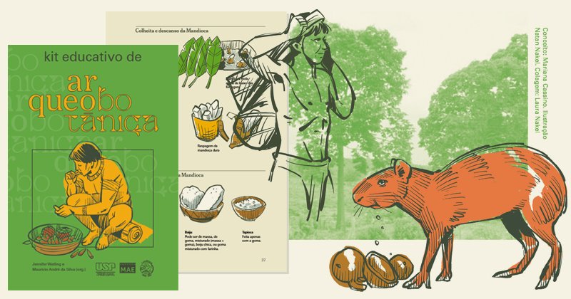 Montagem de capa e página de um livro e ilustrações com indígenas, animais e plantas