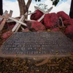 Assassinatos no Brasil aumentam 100% em um ano, revela estudo