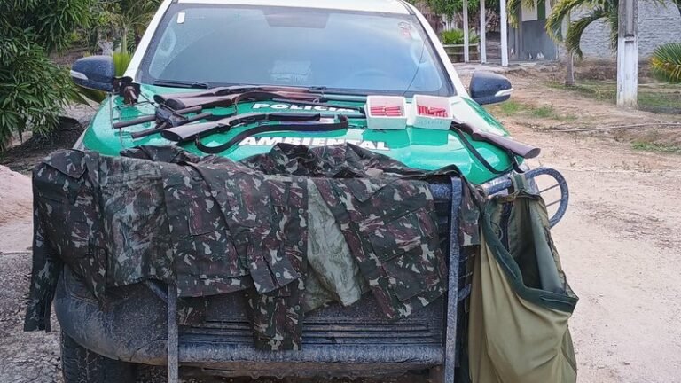 BPA apreende aves silvestres e armas em operação de resgate