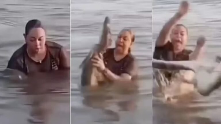 Banhista encontra surpresa aterradora ao segurar tronco em lagoa