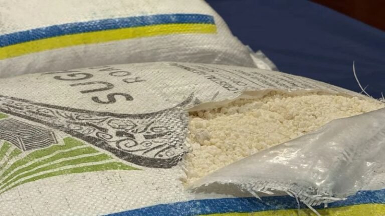 Brasileiros detidos em Portugal por tráfico de 900 kg de cocaína