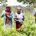 CNPJ obrigatório para produtores rurais: entenda a reforma tributária