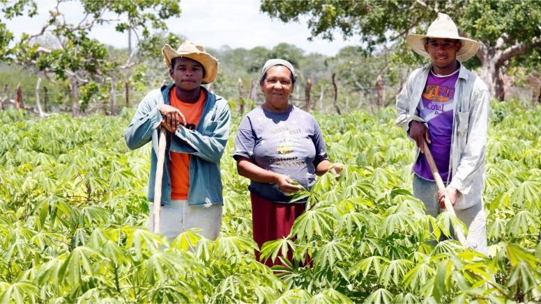 CNPJ obrigatório para produtores rurais: entenda a reforma tributária