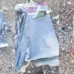 Caça americano derrubado: tripulante é resgatado pelo Irã