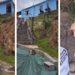 Cachorro esperto conquista a internet ao buscar encomendas Cachorro esperto conquista a internet ao buscar encomendas