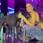 Cachorro invade show e é adotado por cantora; Confira!