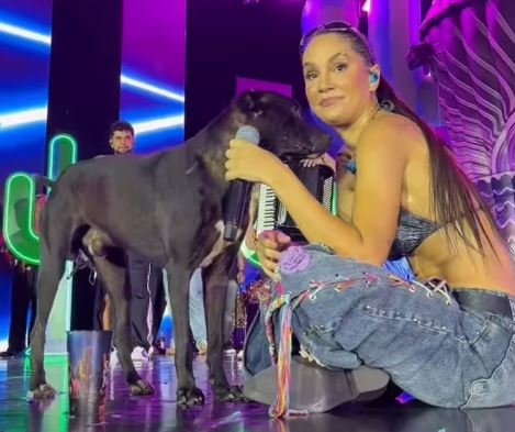 Cachorro invade palco durante show e acaba adotado por cantora; VEJA