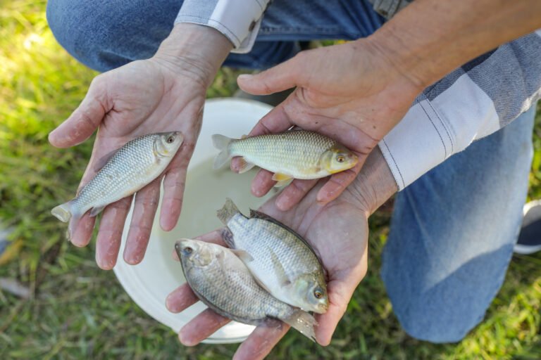 Câmara aprova MP com regras mais rígidas para seguro-defeso