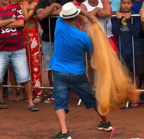 Tradição e habilidade marcam Campeonato de Tarrafa no MA; VEJA