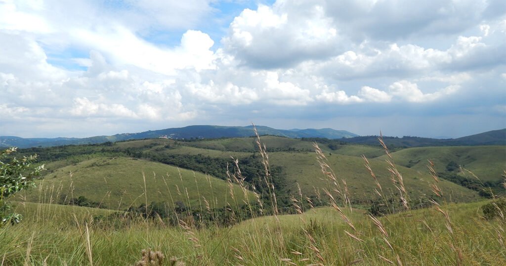 A imagem contém um campo de Cerrado aberto e com relevos