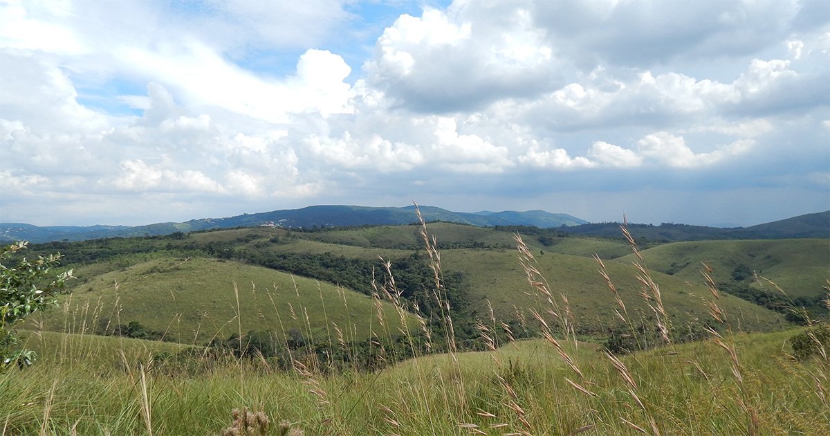 A imagem contém um campo de Cerrado aberto e com relevos
