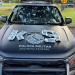 Cão da PMDF apreende R$ 100 mil em drogas na Rodoviária