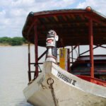 Carrancas: Do Folclore à Arte Contemporânea em Alta Valorização Carrancas: Do Folclore à Arte Contemporânea em Alta Valorização