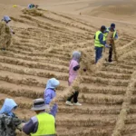China adota estratégias eficazes para combater desertificação