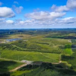 China planta 66 bilhões de árvores e se destaca na luta anti-desertificação