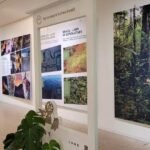 Conservação ambiental: Brasil brilha em exposição na Alemanha