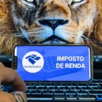 Consulta ao Lote da Malha Fina do Imposto de Renda Disponível