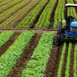 Crédito Rural Empresarial do Plano Safra 2025/2026 chega a R$ 404 bi Crédito Rural Empresarial do Plano Safra 2025/2026 chega a R$ 404 bi