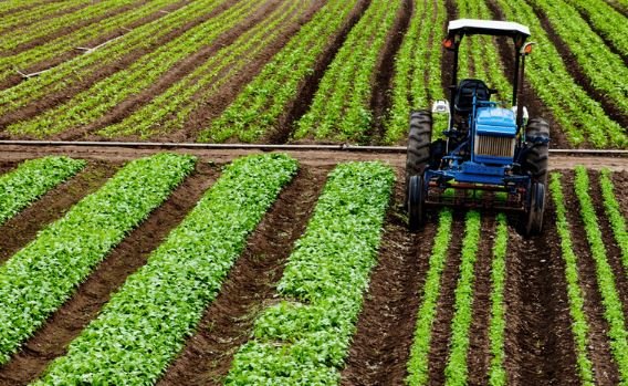 Crédito Rural Empresarial do Plano Safra 2025/2026 chega a R$ 404 bi