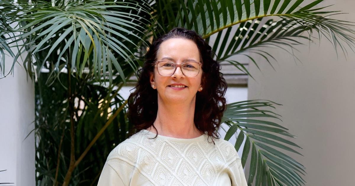 o impacto ambiental da cultura e do entretenimento – Jornal da USP