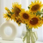 Descubra 4 Vantagens de Ter Plantas em Casa