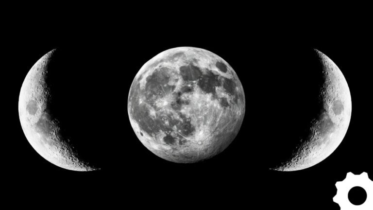 Entenda em Qual Fase da Vida Você Está Agora? Descubra!