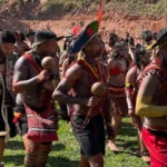 Especialistas refutam dados do governo sobre alfabetização em MG